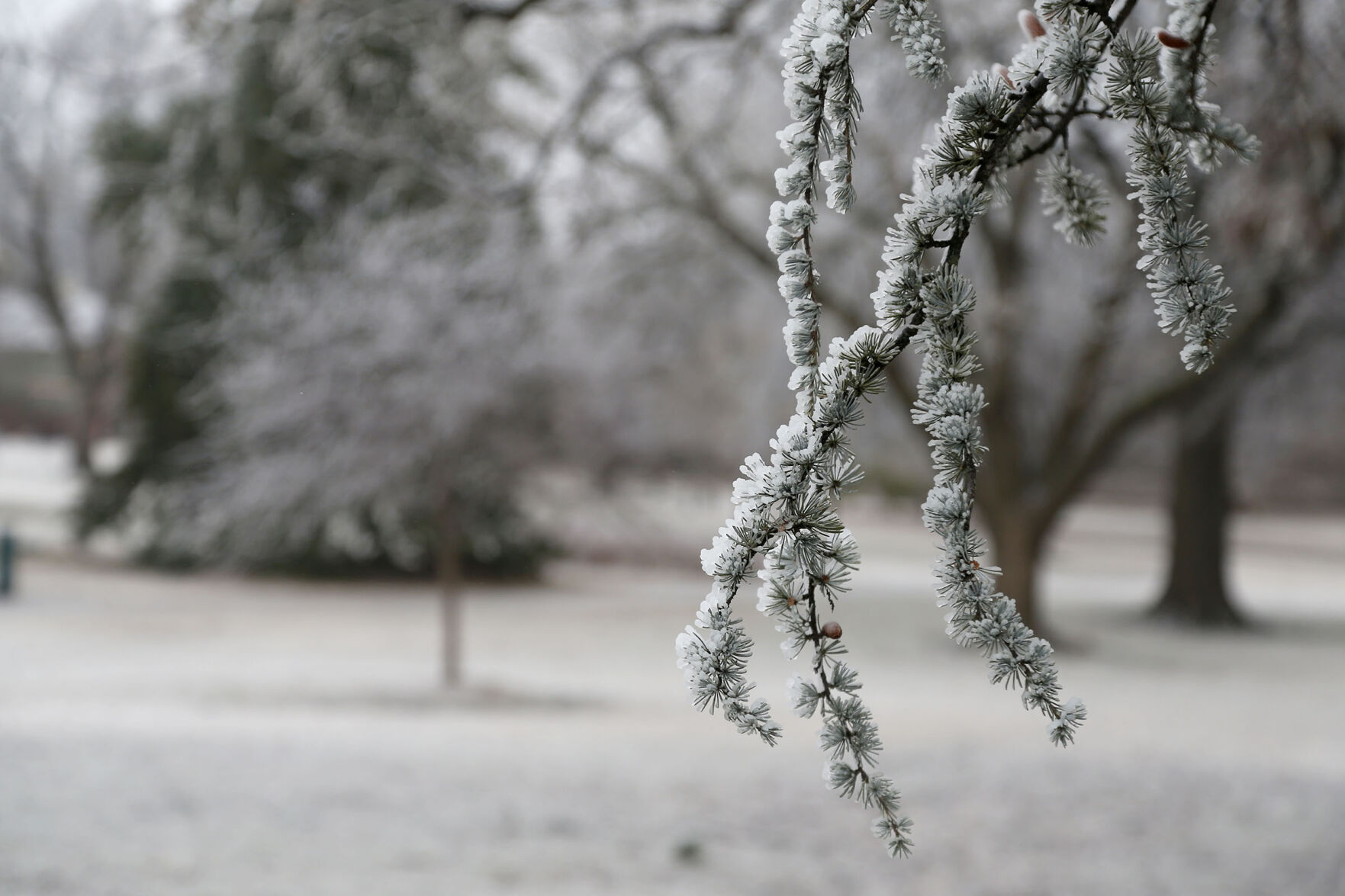 Frost Features